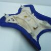 Yamaha YZF R1 2004-2006 Sella anteriore