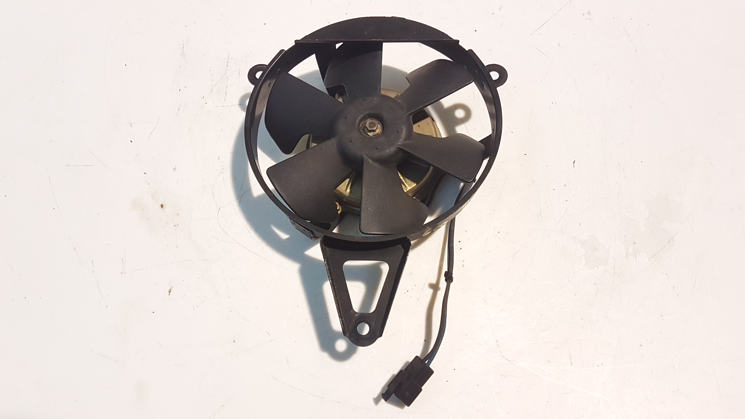 Yamaha Thundercat 600  1999-03 Elettroventola ventola radiatore acqua