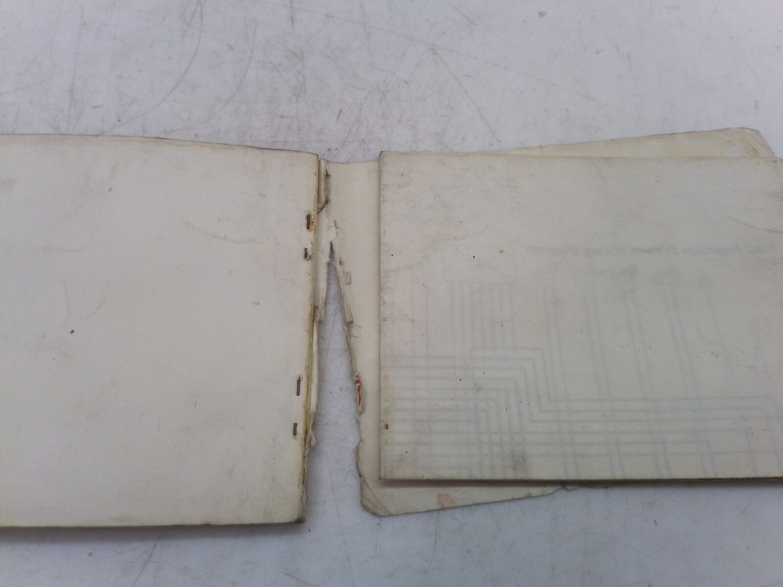 Kawasaki Z 1100 B1 81 libretto uso e manutenzione inglese 99922111901