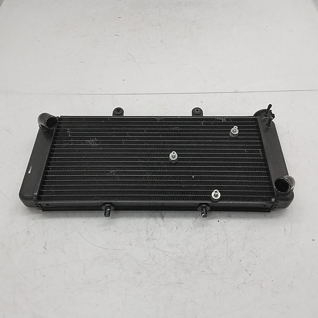 Aprilia Caponord ETV 1000 01 04 radiatore acqua