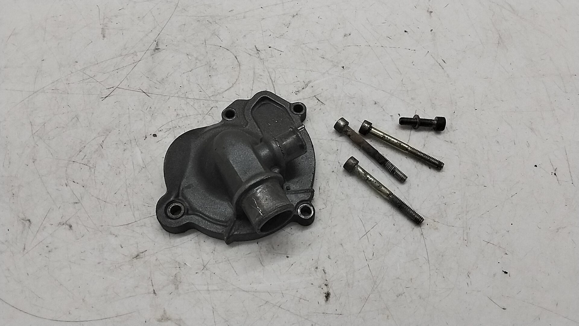 Aprilia Caponord ETV 1000 01 04 carte a coperchio pompa acqua 222510